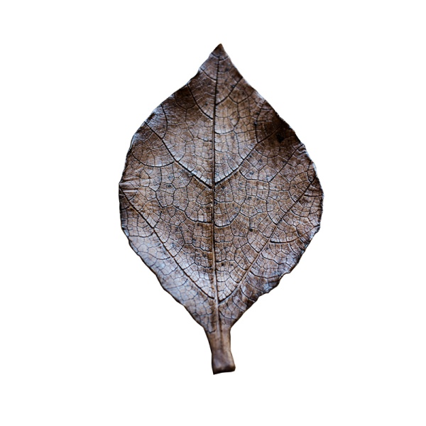 Десертная тарелка Leaf