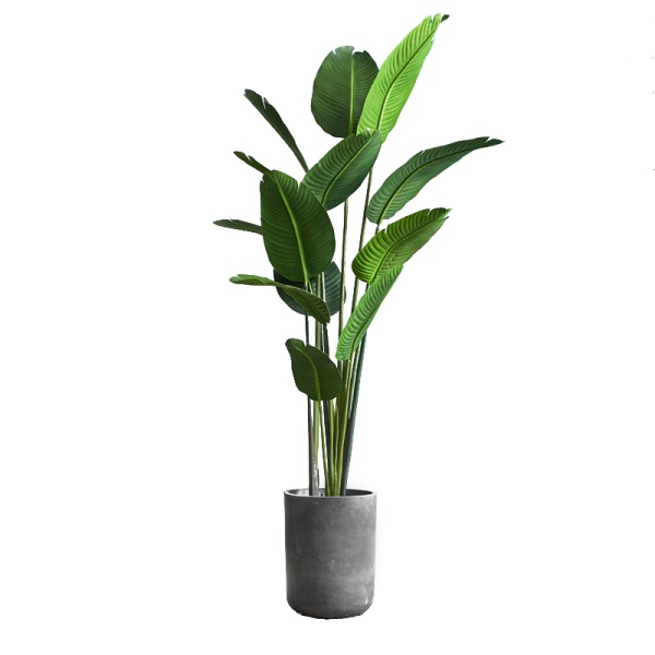 Декор Plant