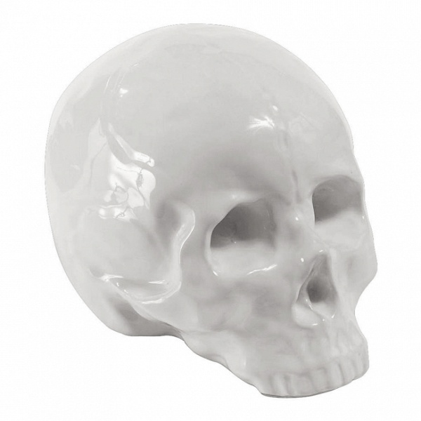 Фарфоровый череп Memorabilia