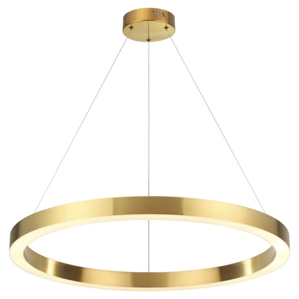 Подвесной светодиодный светильник Odeon Light L-vision Brizzi 3885/45LG