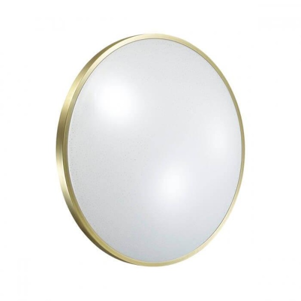 Настенно-потолочный светодиодный светильник Sonex Pale Lota bronze 2089/CL