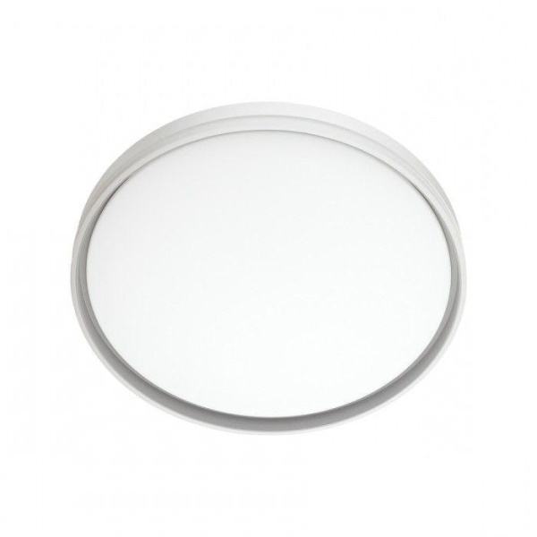 7631/DL PALE SN 043 Светильник пластик/белый/светло-серый LED 48Вт c ДУ 3000-6000К D390 IP43 пульт ДУ SAVI